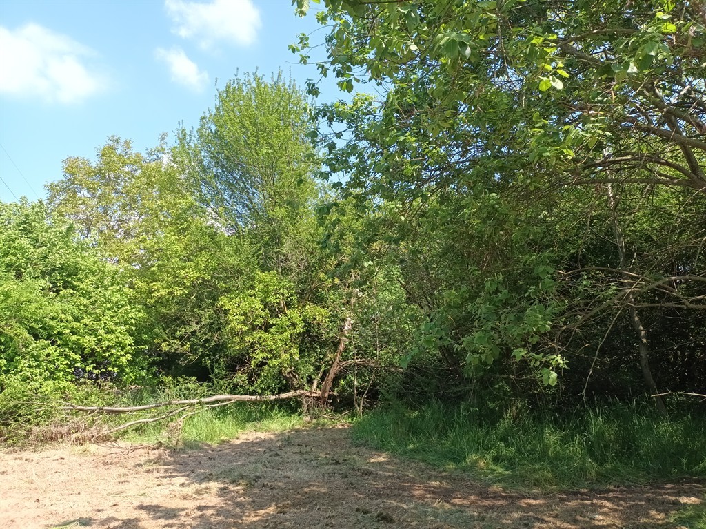 Vicoforte (CN), terreno edificabile